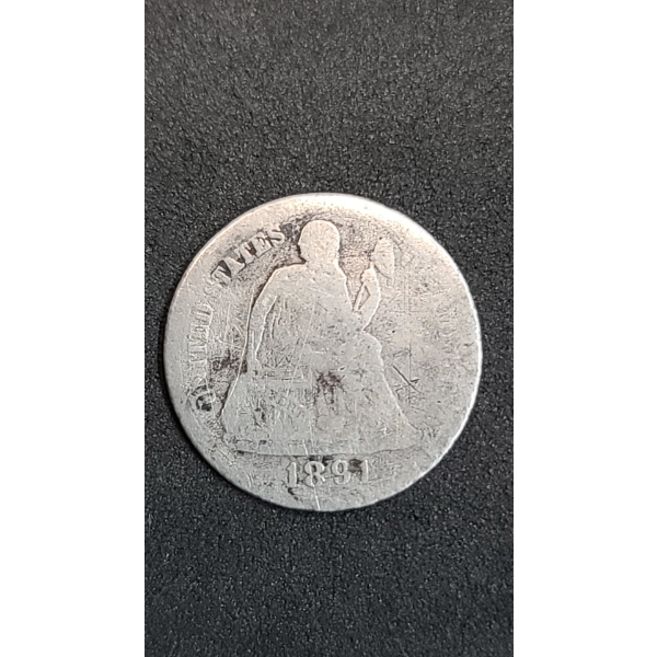 1891 Seated Liberty Dime