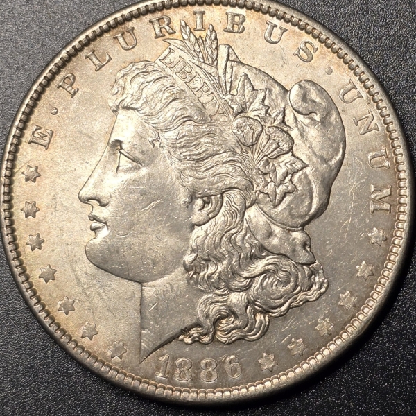 1886 Morgan Silver Dollar