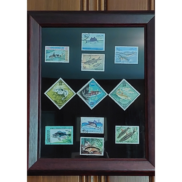 Mounted Framed Set Of Special Fish Themed Stamps As Shown