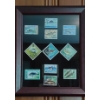 Image 1 : Mounted Framed Set Of Special Fish Themed Stamps As Shown