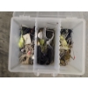 Image 5 : New Outside Edge Binoculars, 2 Sppols Of Line, Lures & Soft Baits 