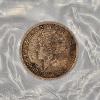 Image 7 : Organized Assortment of Circulated World Coins