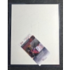 Image 2 : Autographed Terry Glenn 8x10 Photograph.  JSA Authenticated.