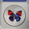 Image 2 : 2007 China Chen Baocai World Wildlife Red & Blue Butterfly Silver Clad IGS MS70 PR-Like