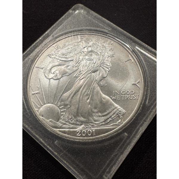 2001 United States American Eagle .999 Fine Silver Troy Ounce Coin - Mint Condition