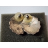 Image 4 : Native-Style Sterling Silver Turquoise Floral Earrings - TW: 14.9