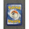 Image 2 : Grotle 164/162 Holo Illustration Rare Pokemon Trading Card