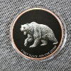 Image 4 : One Troy Ounce .999 Fine Copper Round ~ Colorized Black Ft. Bear On One Side & Bull on The Other