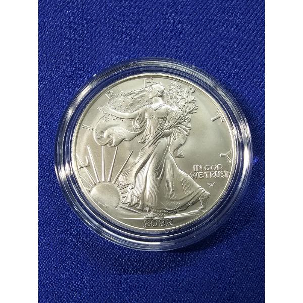 2022- W American Silver Eagle UNCIRCULATED 1 oz. Fine Silver Coin w/ Box & COA