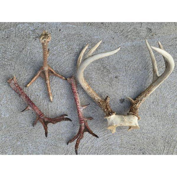 PICKUP IN CANTON - Deer Rack And Turkey Feet 