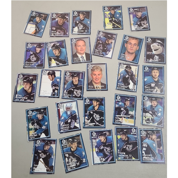 2004-05 Cleveland Barons AHL Hockey Trading Cards