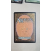 Image 4 : Assorted Magic The Gathering Cards Including Holos/Rares & Signed "Steve Prescott" Card