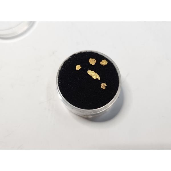 Five Natural Gold Nuggets - 0.3 Grams Total 
