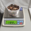 Image 11 : HUGE LOT of Assorted U.S. Pennies, Including COPPER, & (1) 1955-D Wheat - Face Value: ~$9.00
