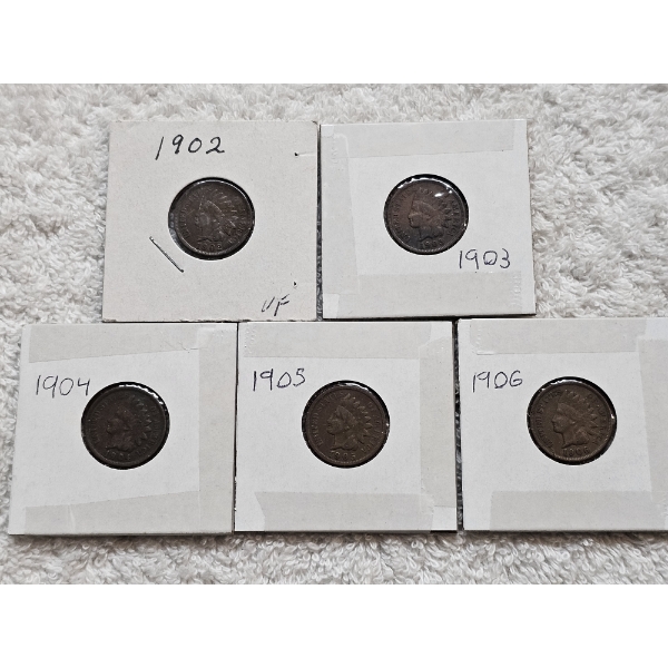 Assortment of U.S. Indian Head Cent Coins