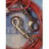 Image 3 : Weather Resistant Red Pets Go To 10FT Tie Out Cable With Extra Strong Swivel Hook 