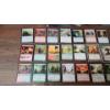 Image 3 : 
Large Assortment Of Magic The Gathering Cards Including Dice, Signed, Holos & Common Cards