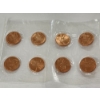 Image 2 : Eight Beautiful Uncirculated 2009 Lincoln Memorial Commemorative Pennies in Plastic