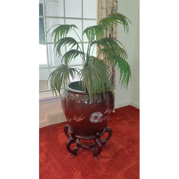Massive 3 Pc Porcelain & 5 Leg Japanese Rosewood Wood Plant Stand & Tall 54" Plant / Tree Superb!