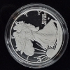 Image 2 : 2023 United States Silver Proof 1 Oz .999 Silver Eagle In Case 
