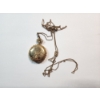 Image 1 : Gorgeous Gold-Filled Elgin Pocket Watch With Adjustable Chain