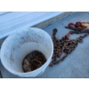 Image 4 : Lot of Chains, Hooks, Hoist, Chain Binders in Bucket