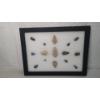 Image 1 : Framed Collection Of (15) Arrowheads