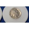 Image 2 : Encapsulated 1937 & Unknown Date Buffalo Nickels -Face Value: $0.10