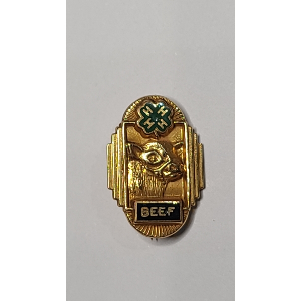 Vintage Gold-Filled 4-H County Honor Beef Award Pin - Weight: 2.7g
