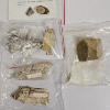 Image 1 : ROCKIN!!! Assortment of Various Fine Minerals ft. Jasper, Marble, Petrified Wood, and MORE!!!