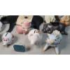 Image 8 : Large Lot Of Assorted Pig Figurines Including Dime Saver Pig 