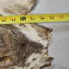 Image 3 : 63" Vintage Tanned White-Tailed Piebald Deer Hide