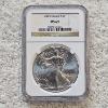Image 1 : NGC MS69 Graded 2015 .999 Fine Silver 1oz. Eagle