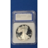 Image 1 : 1995-P International Grading Service PR-70 1 oz Silver American Eagle 