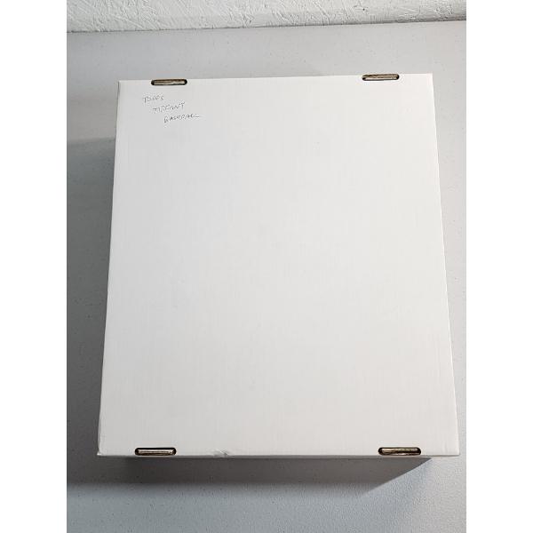 Trading Card Storage Box 13x15in - Excellent Condition