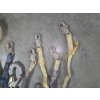 Image 2 : Nylon Straps And Safety Lanyards