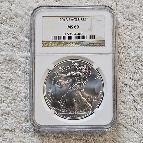 NGC MS69 Graded 2013 .999 Fine Silver 1oz. Eagle