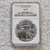 Image 1 : NGC MS69 Graded 2013 .999 Fine Silver 1oz. Eagle