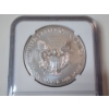 Image 4 : NGC MS70 2019-W Burnished Silver Eagle 1 oz .999 Fine Silver 