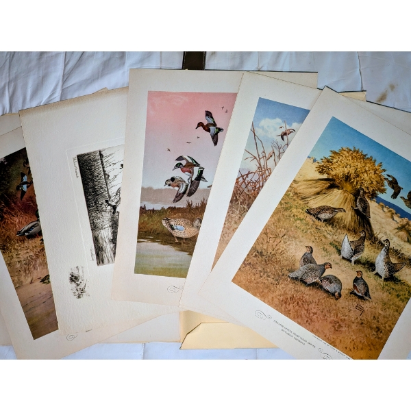 Three Books, And Interesting Book Full Of Loose Painting Prints