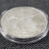 Image 4 : United States 2006 Silver 1 Oz American Eagle Round in Protective Capsule & Nice Gift Box