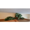Image 2 : Group Lot Of Floral Arrangements - Top Of Kitchen Cabinets - As Pictured