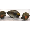 Image 1 : Bag of 12 Duck Decoys