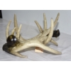 Image 2 : Display Wine Bottle Rack