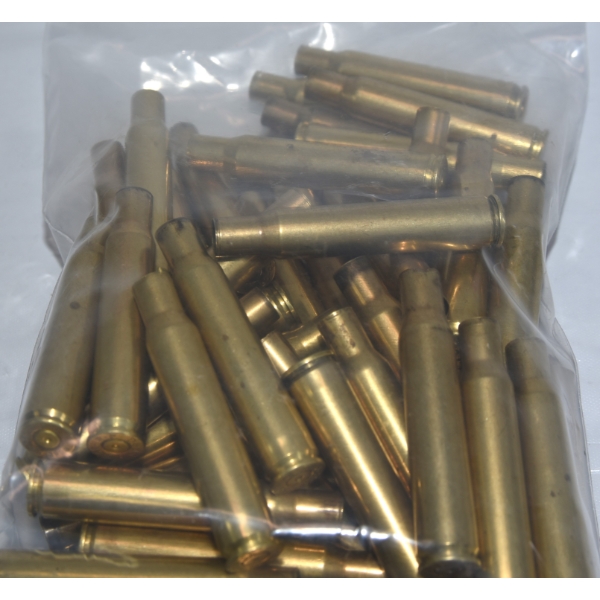 50 Pieces Remington 30/06 Shot Brass