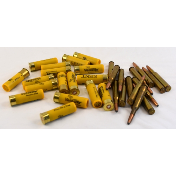 33 Rounds assorted Brands & Caliber Ammunition