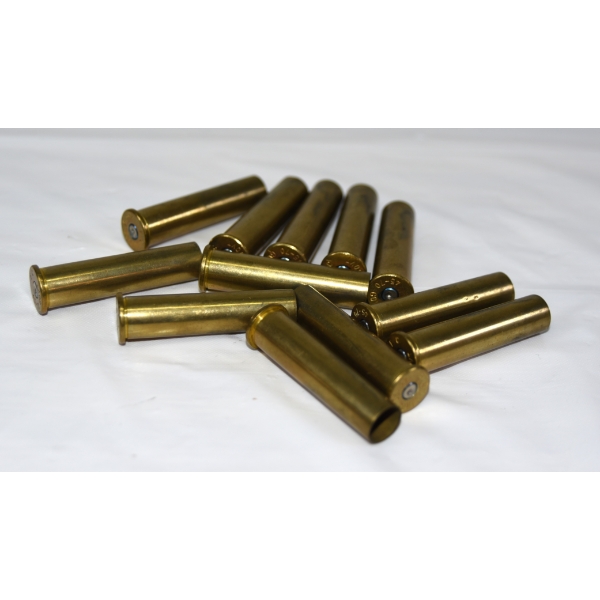 12 Pieces 45-70 Caliber Shot Brass