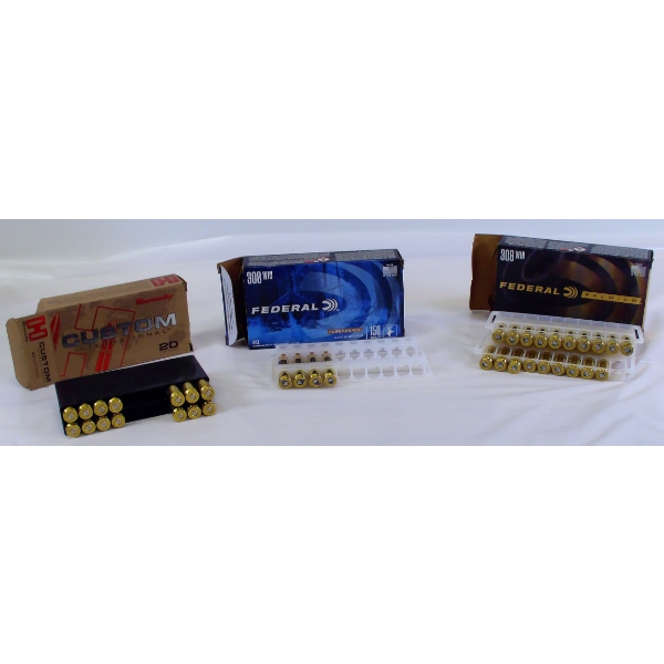 21 Rounds Assorted Ammunition 