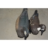 Image 3 : Bag of Mixed Mallard Decoys