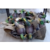 Image 10 : Avery Green Head Gear 34 Mallard Decoy Shells w/ Carry Bag